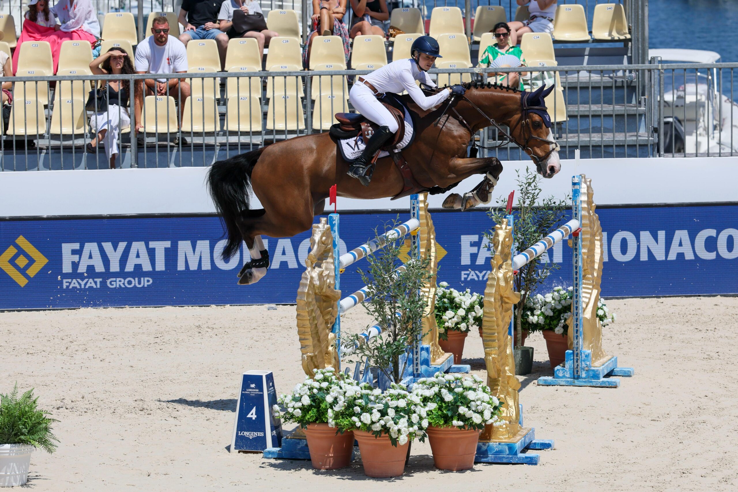 Crypto Law to Olympic Dream