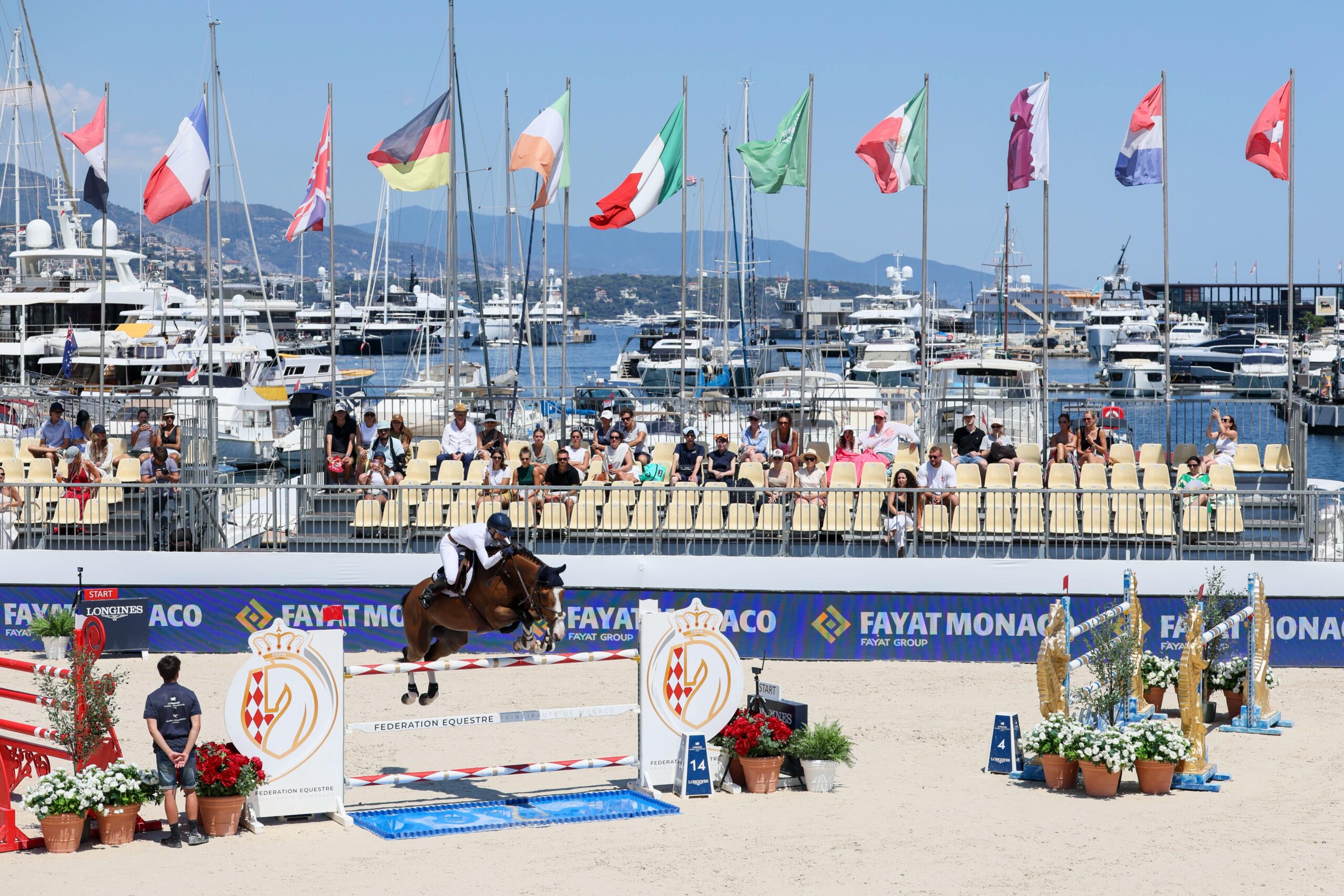 Crypto Law to Olympic Dream