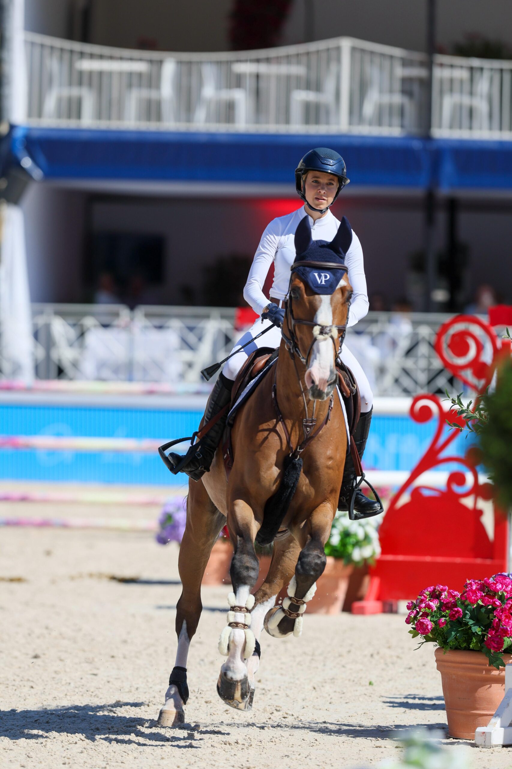 Crypto Law to Olympic Dream